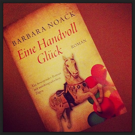 Buchcover Eine Handvoll Glück