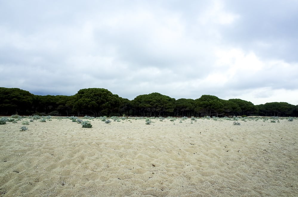 Spiaggia Su Barone