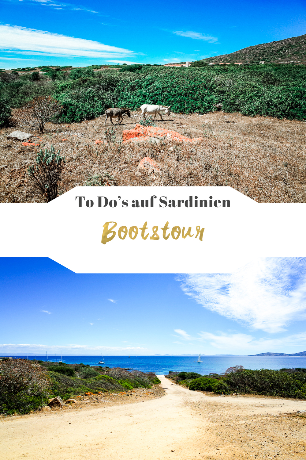 Bootstour im Nationalpark Asinara Asinarasailexperience