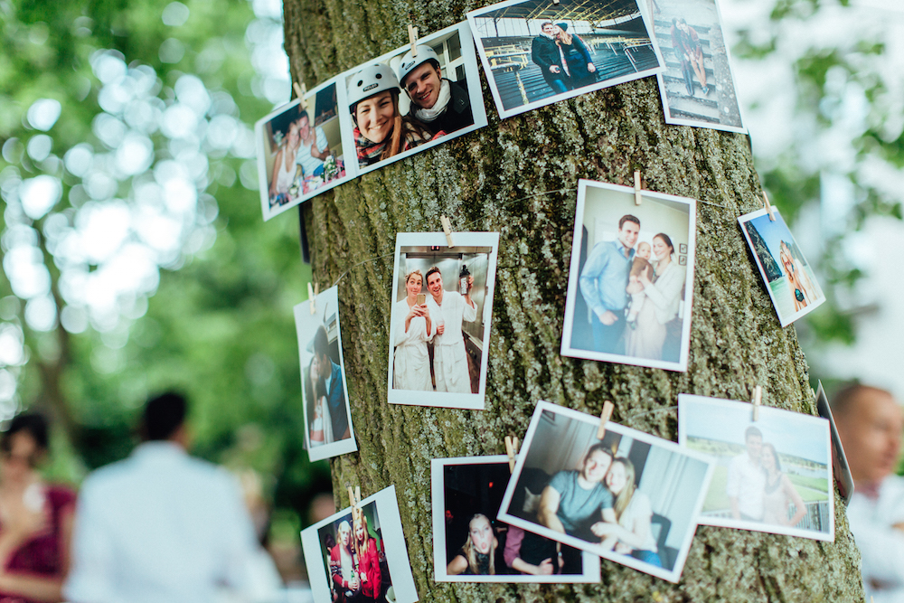 Bilderbaum Hochzeit
