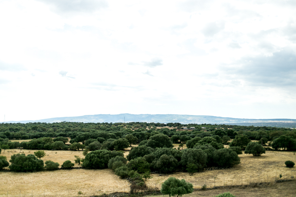 Nuraghi Losa Sardinien