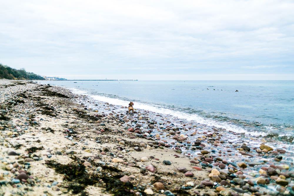 Strand Gut Klein Bollhagen