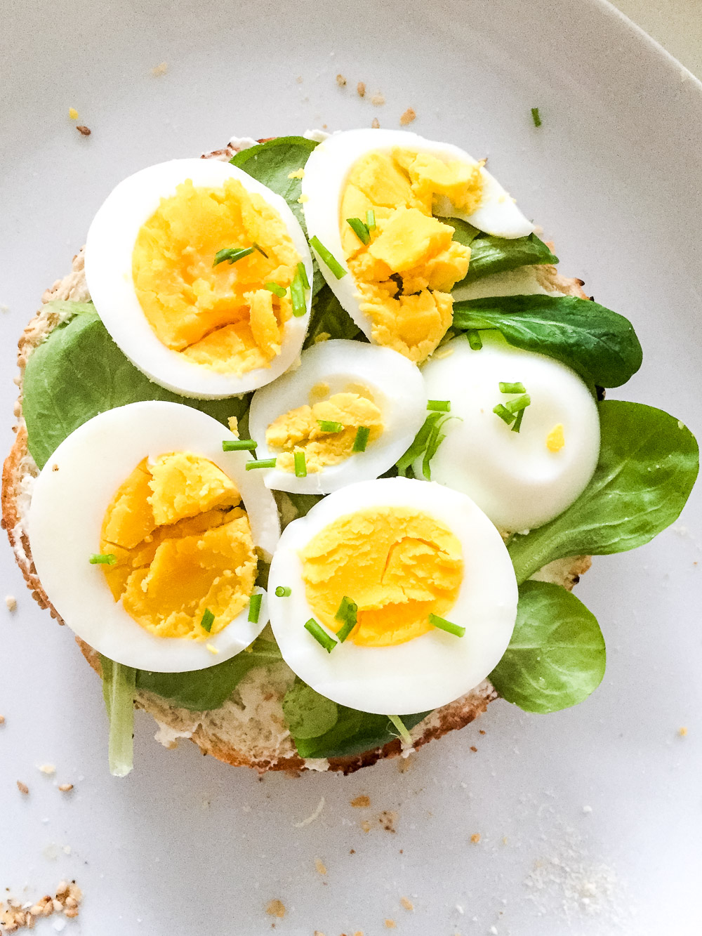 saisonal ernähren Februar