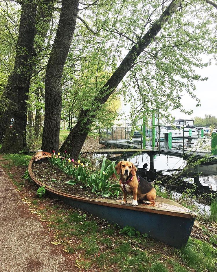 Potsdam Havel