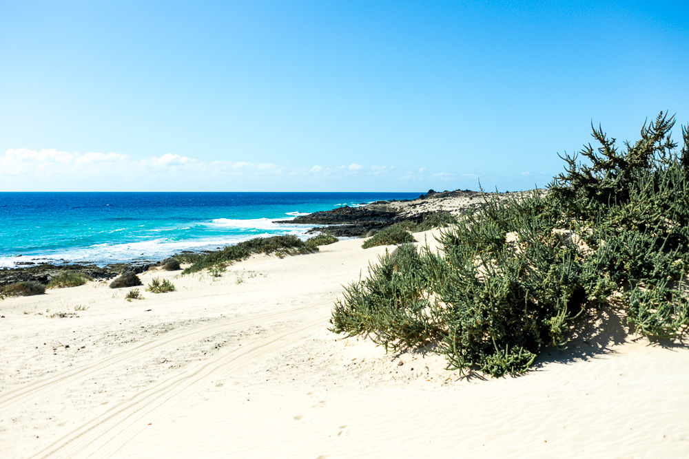 Fuerteventura Inselrundfahrt mit dem Mietwagen Corralejo Sanddünen