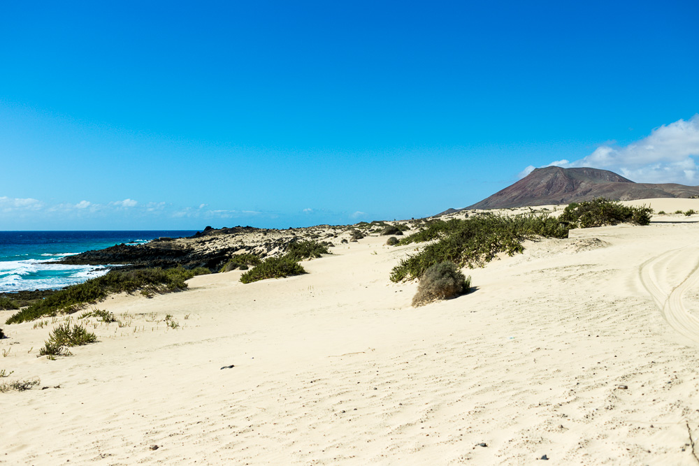Fuerteventura Inselrundfahrt mit dem Mietwagen Corralejo Sanddünen