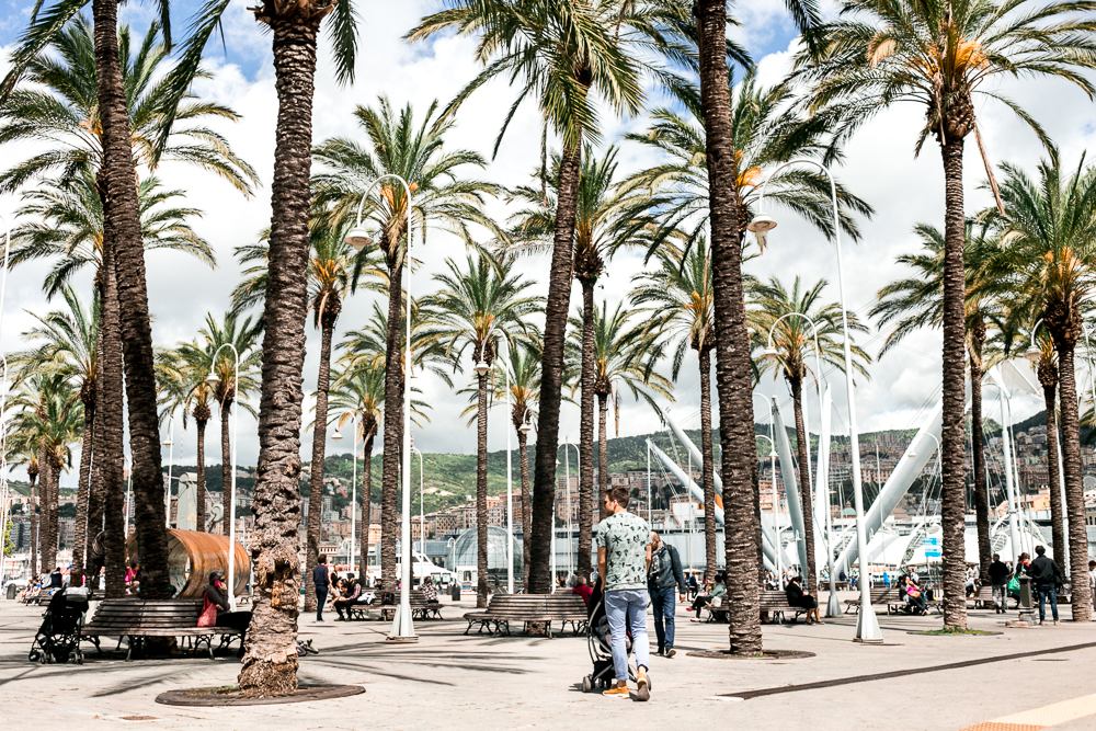 Genua