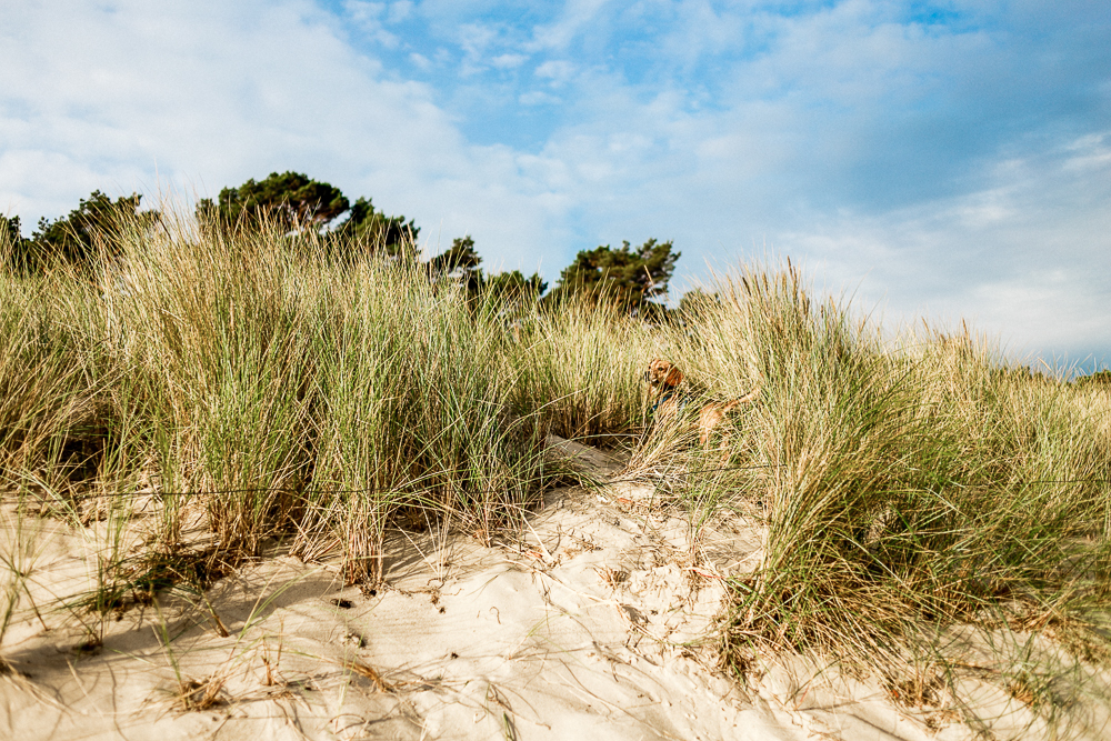 Mit Kleinkind auf Rügen Regenbogen Ferienanlage Göhren Ostsee Erfahrungen