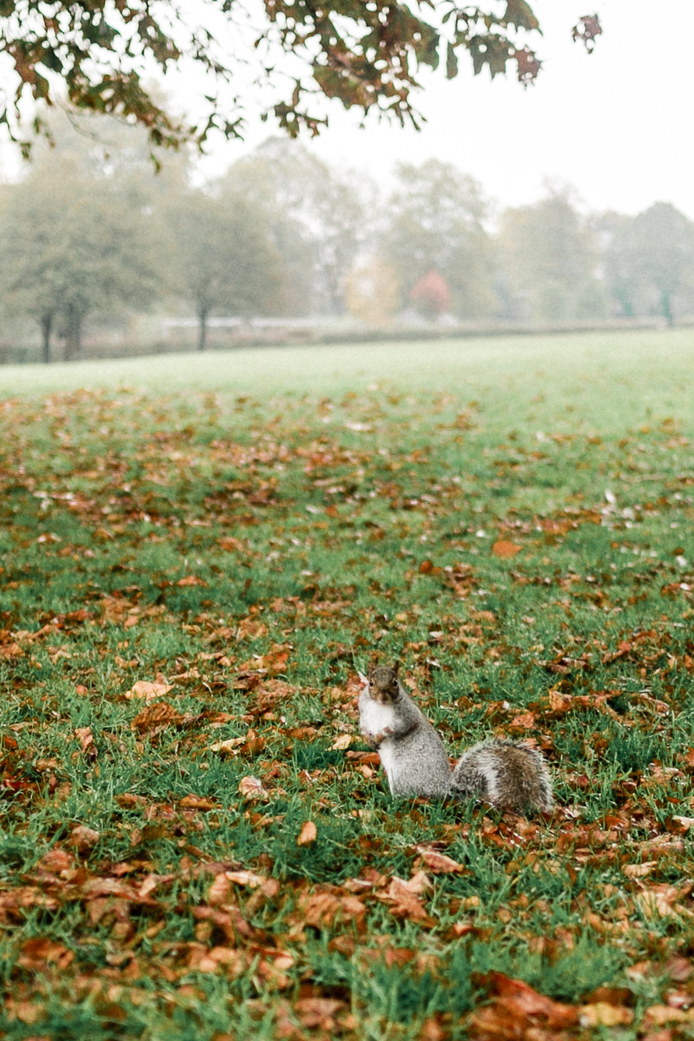 London mit Kleinkind