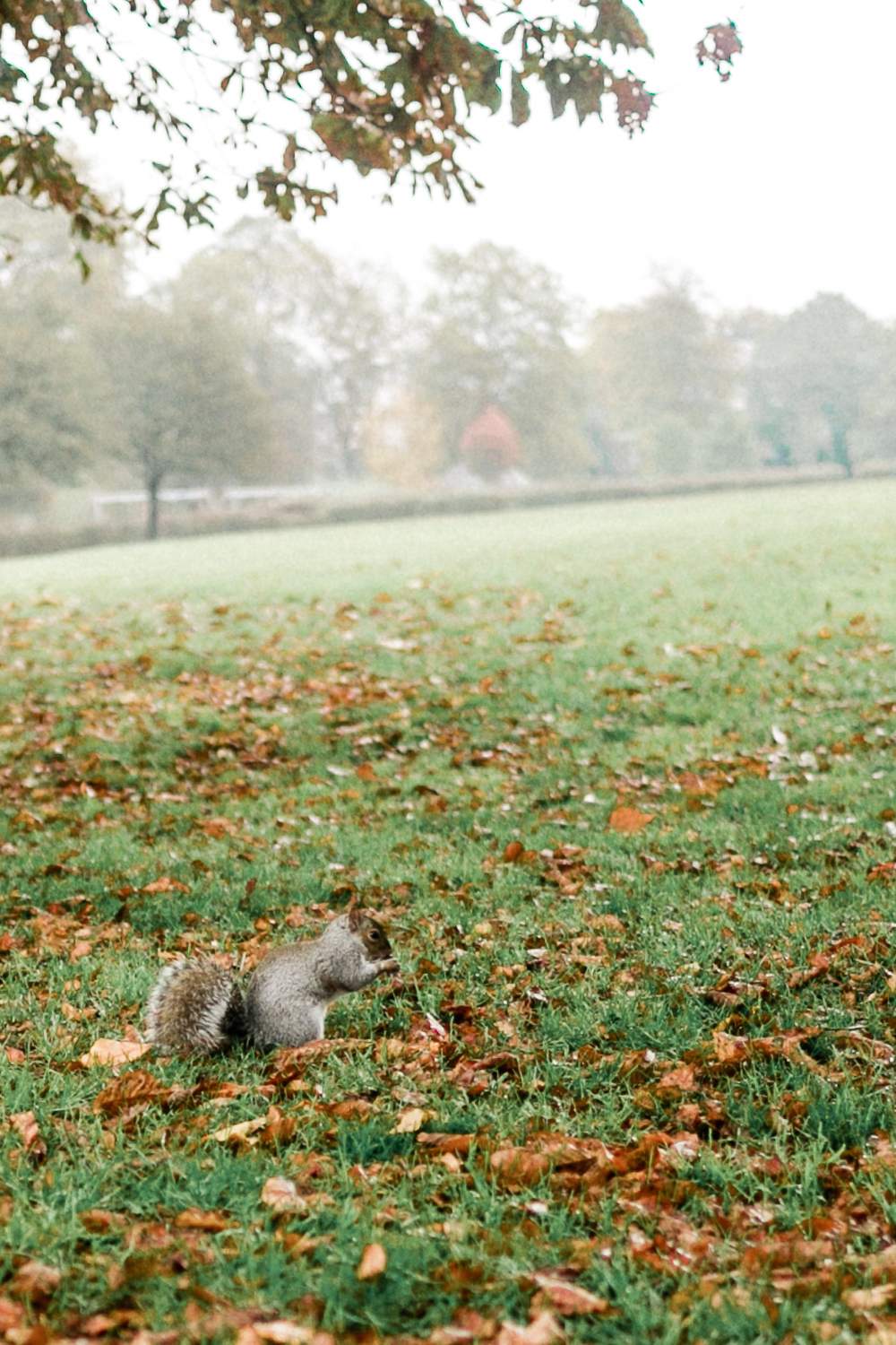 London mit Kleinkind