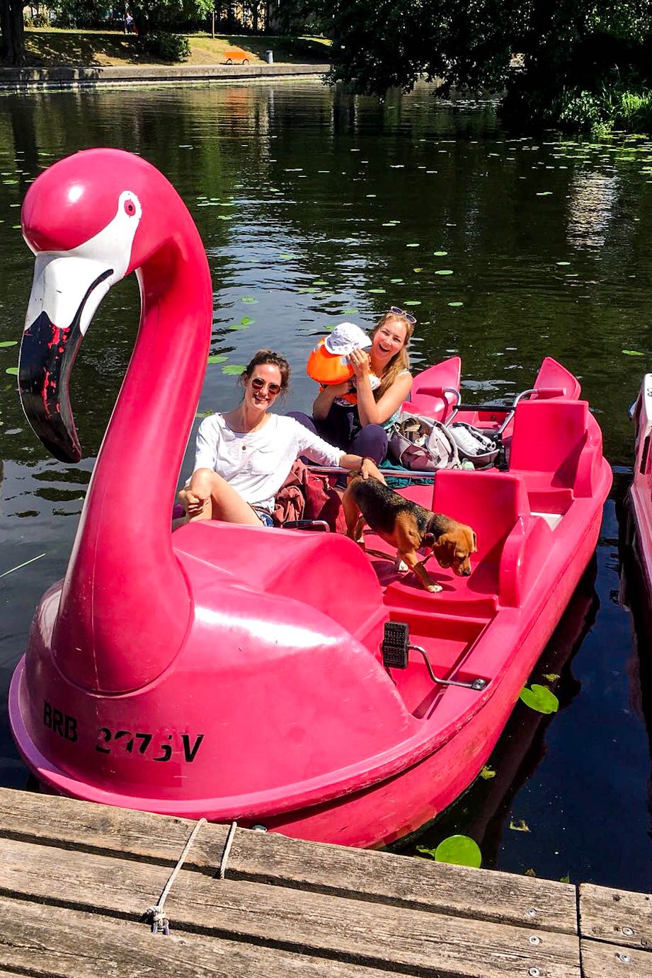 Flamingo Tretboot Potsdam