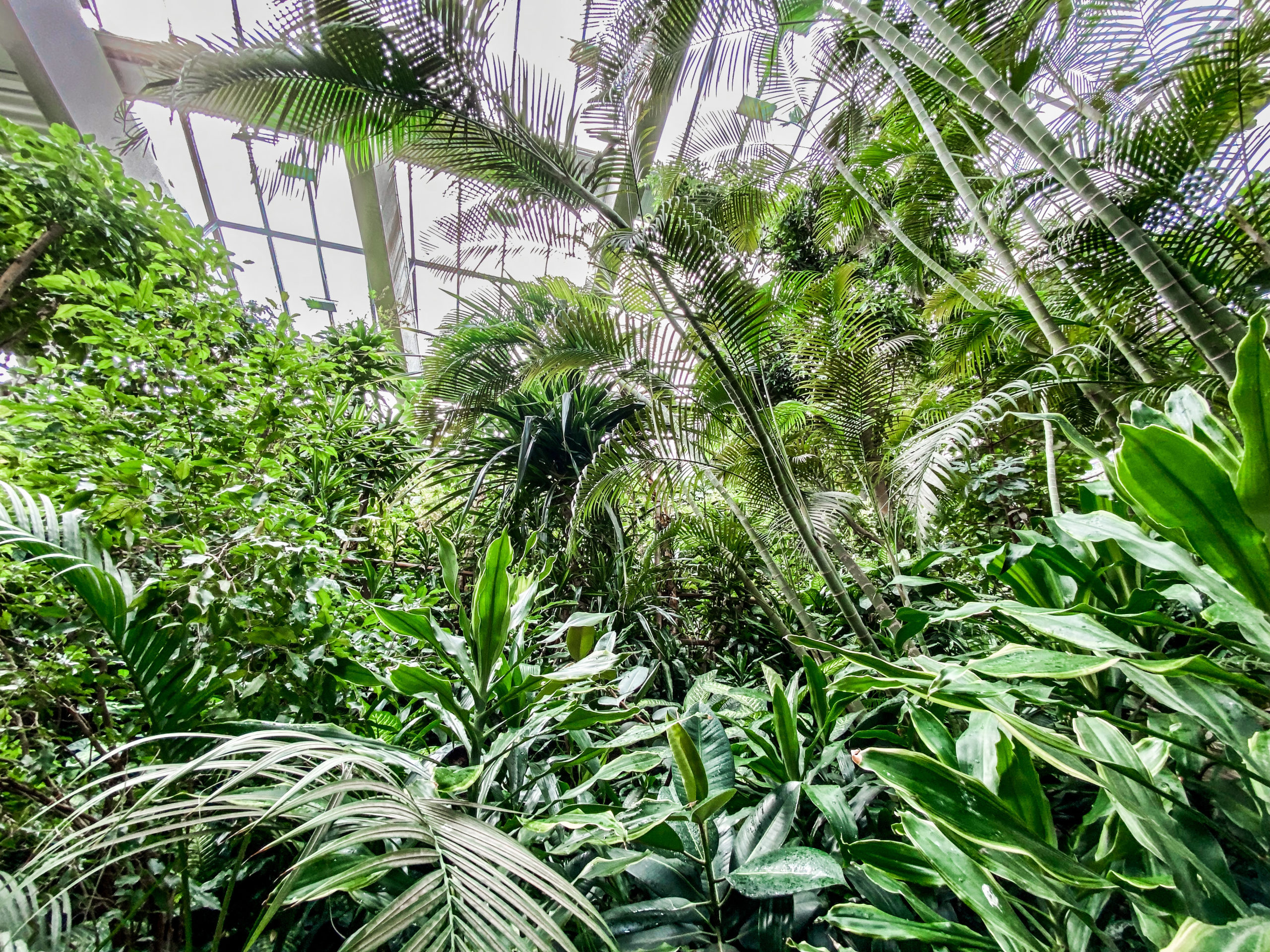 Lieblingsorte in Potsdam mit Kindern Biosphäre