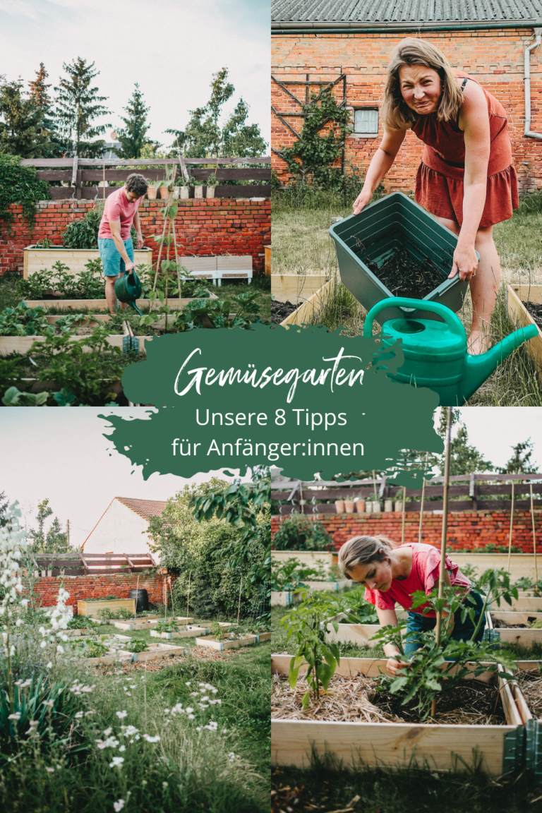 Gemüsegarten für Anfänger Wie wir aufs Land zogen und mit schwarzen