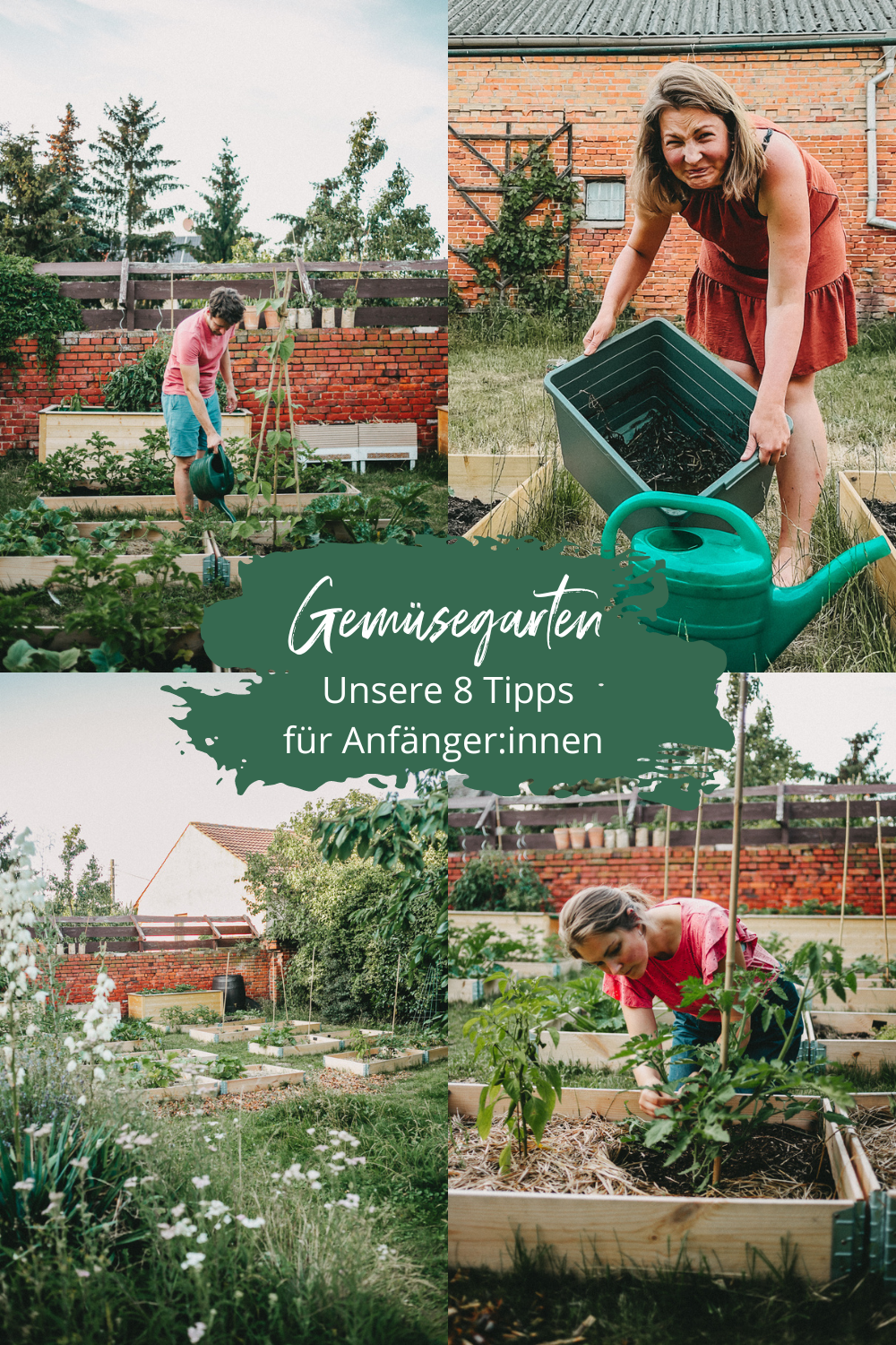 Gemüsegarten für Anfänger