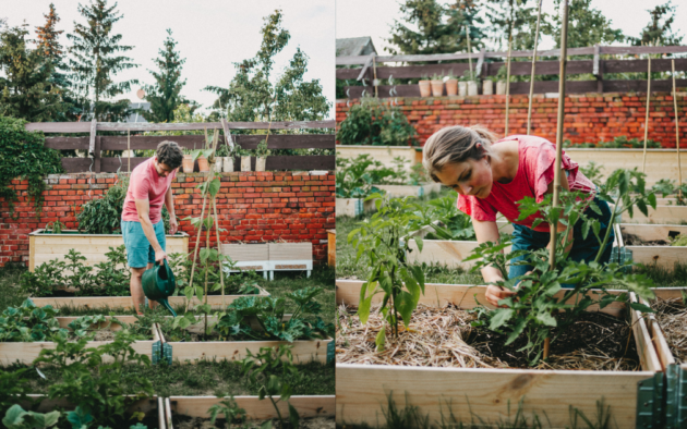 Gemüsegarten für Anfänger Globus