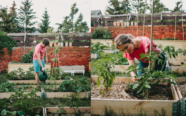 Gemüsegarten für Anfänger Wie wir aufs Land zogen und mit schwarzen
