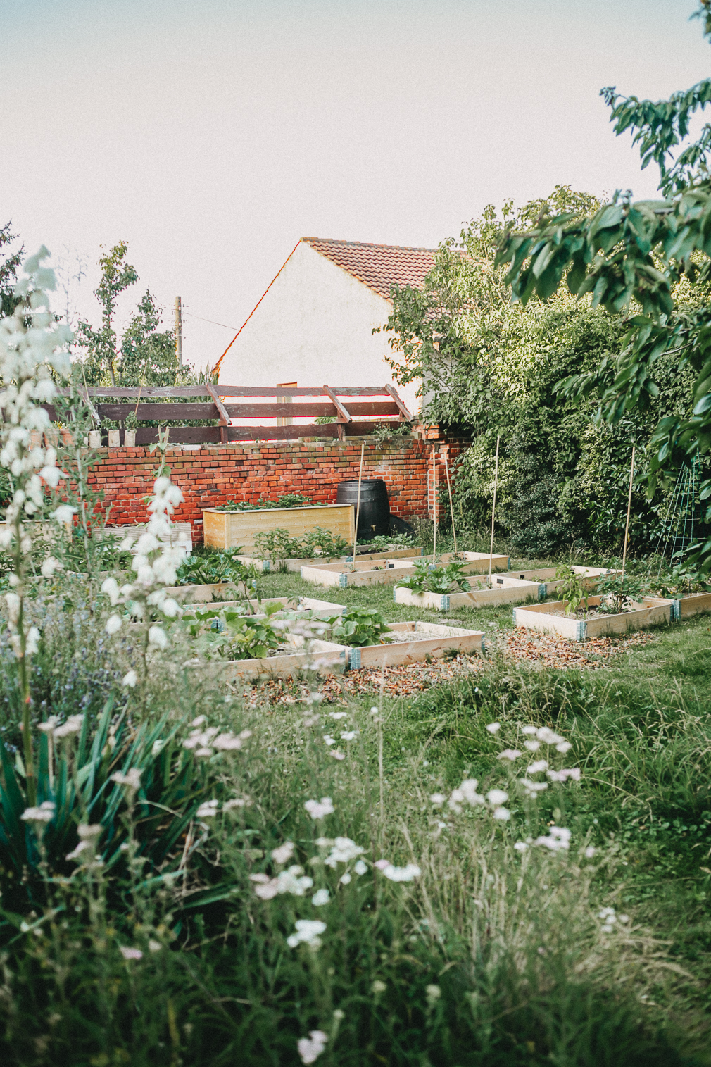 Gemüsegarten Paletten Bauernstil Holz