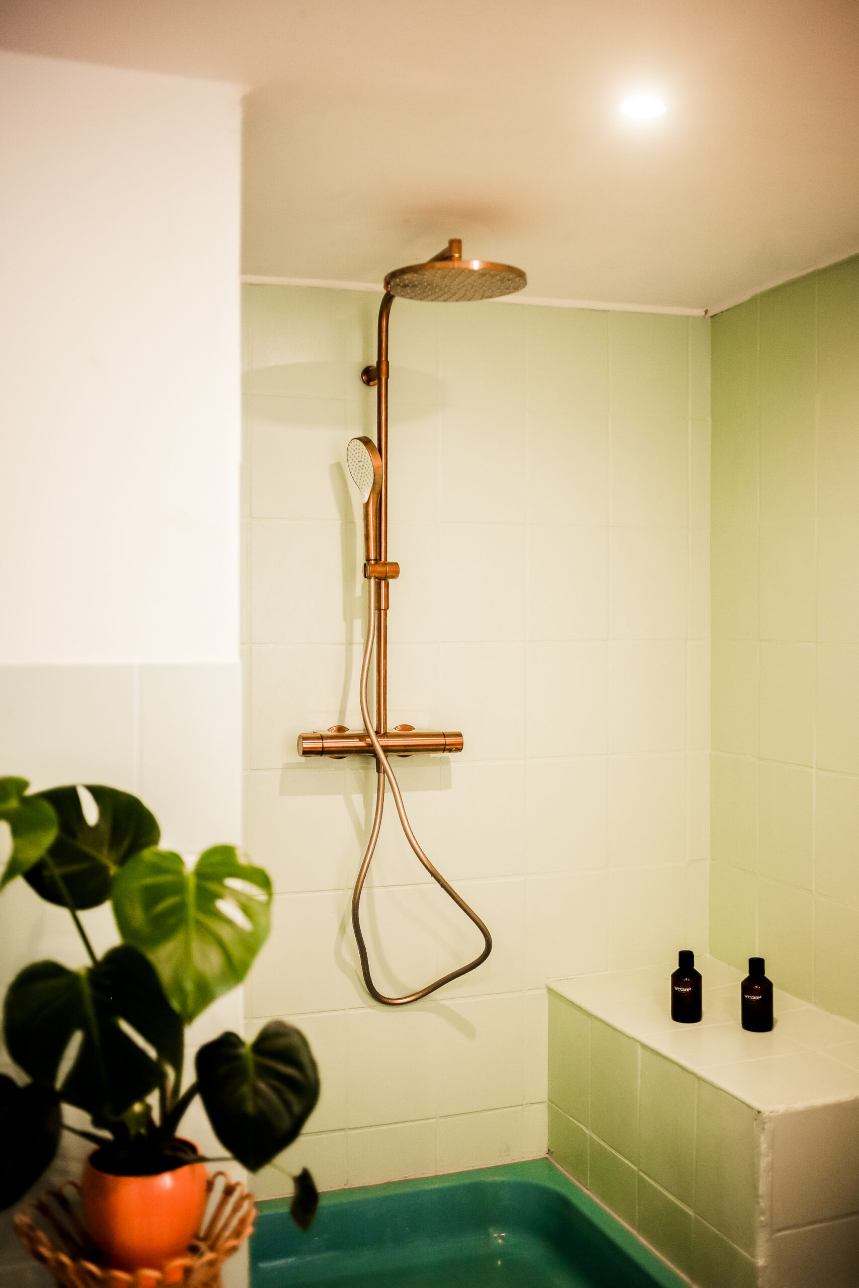 Regendusche mit Aufputzarmatur Hansa Viva Bronze