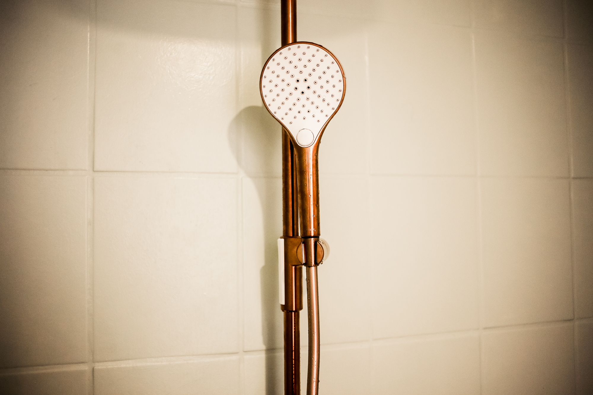 Regendusche mit Aufputzarmatur Hansa Viva Bronze