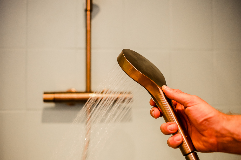 Regendusche mit Aufputzarmatur Hansa Viva Bronze Strahlarten