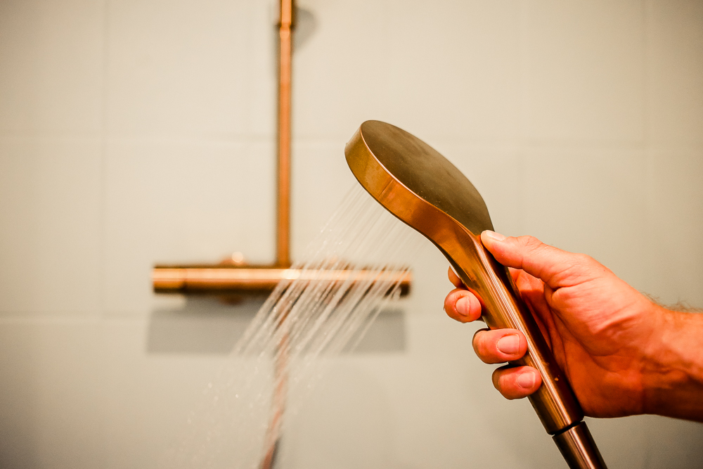 Regendusche mit Aufputzarmatur Hansa Viva Bronze Strahlarten
