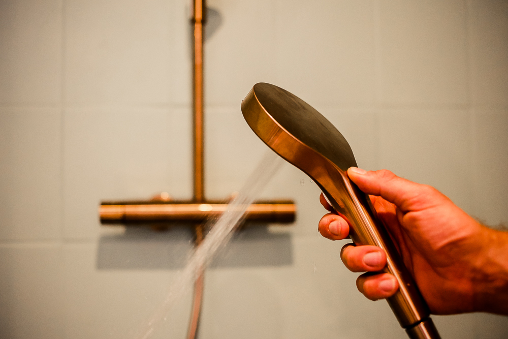 Regendusche mit Aufputzarmatur Hansa Viva Bronze Strahlarten