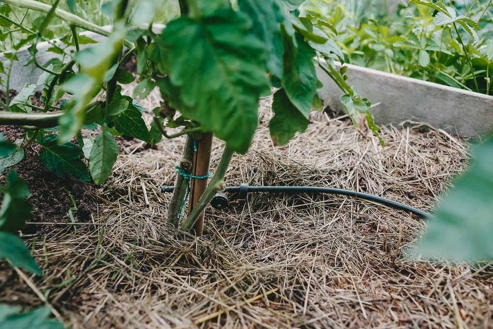 Micro-Drip-System Gardena