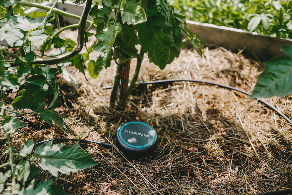 Bodenfeuchtesensor Gardena