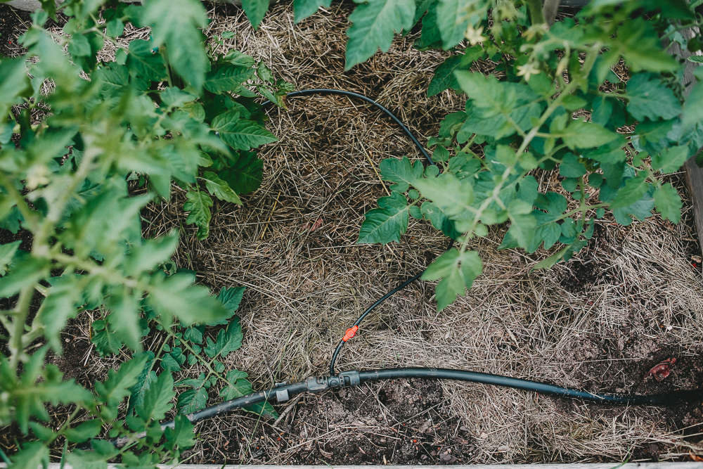Micro-Drip-System Gardena